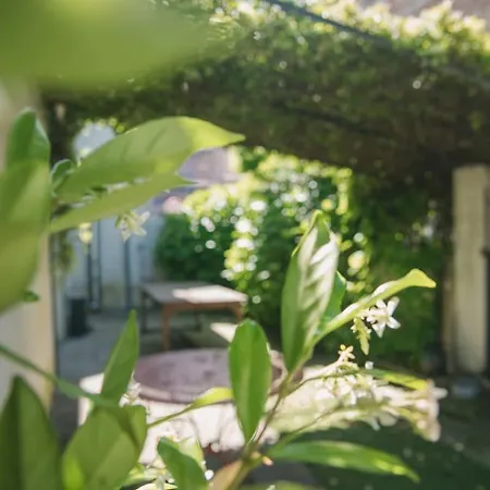 Les Hortensias, Maison De * 卡布勒通